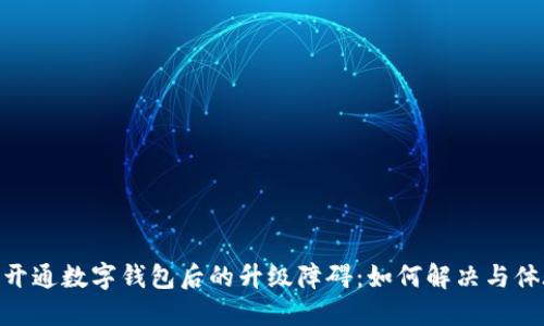 : 開(kāi)通數字錢(qián)包后的升級障礙：如何解決與體驗
