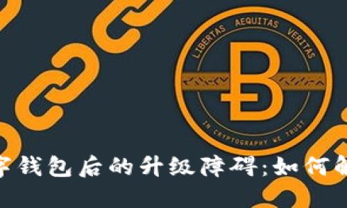 : 開(kāi)通數字錢(qián)包后的升級障礙：如何解決與體驗