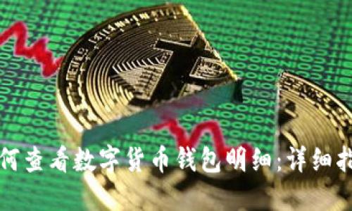 如何查看數字貨幣錢(qián)包明細：詳細指南