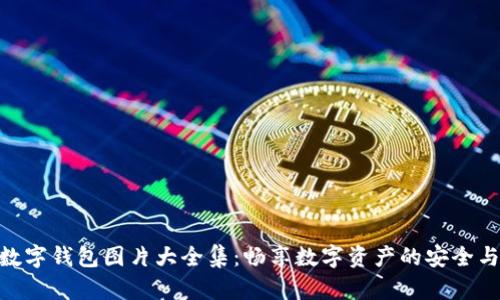 狐貍數字錢(qián)包圖片大全集：暢享數字資產(chǎn)的安全與便捷