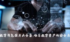 狐貍數字錢(qián)包圖片大全集
