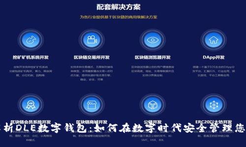 全面解析DLE數字錢(qián)包：如何在數字時(shí)代安全管理您的資產(chǎn)