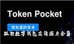 狐貍數字錢(qián)包高清圖片合