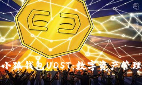 全面解析小狐錢(qián)包UDST：數字資產(chǎn)管理的新選擇
