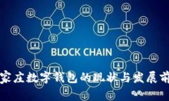 石家莊數字錢(qián)包的現狀與