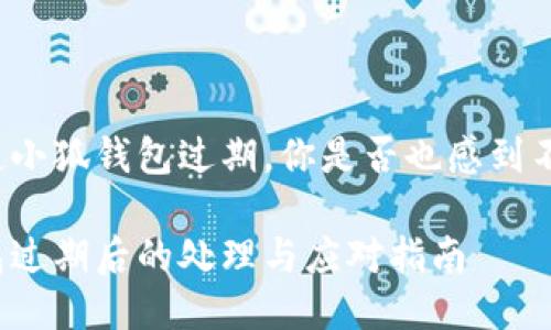 每當提起小狐錢(qián)包過(guò)期，你是否也感到不知所措？

小狐錢(qián)包過(guò)期后的處理與應對指南