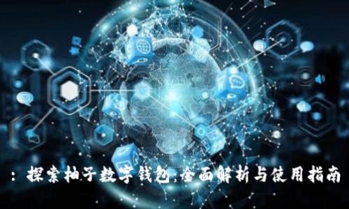: 探索柚子數字錢(qián)包：全面解析與使用指南