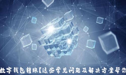 
沒(méi)有收到數字錢(qián)包轉賬？這些常見(jiàn)問(wèn)題及解決方案幫你找回資金