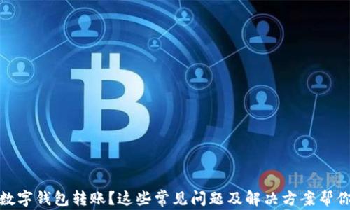 
沒(méi)有收到數字錢(qián)包轉賬？這些常見(jiàn)問(wèn)題及解決方案幫你找回資金