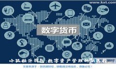 小狐插件錢(qián)包：數字資產(chǎn)