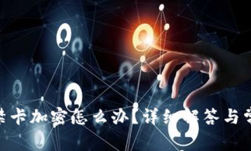 vivo錢(qián)包門(mén)禁卡加密怎么辦？詳細解答與常見(jiàn)問(wèn)題解析