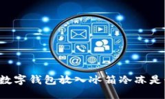為什么將數字錢(qián)包放入冰