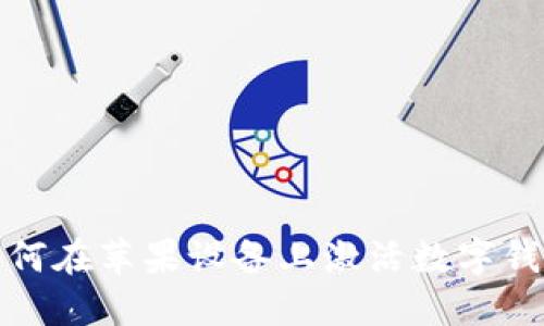 如何在蘋(píng)果設備上激活數字錢(qián)包