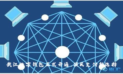 武漢數字錢(qián)包正式開(kāi)通，便民支付新選擇