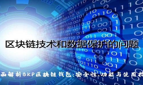 全面解析BKP區塊鏈錢(qián)包：安全性、功能與使用指南
