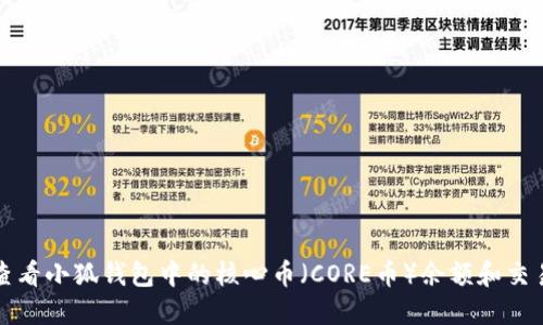 如何查看小狐錢(qián)包中的核心幣（CORE幣）余額和交易歷史
