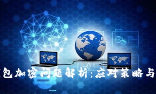 狗狗幣錢(qián)包加密問(wèn)題解析：應對策略與解決方案