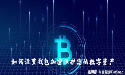如何設置錢(qián)包加密保護您的數字資產(chǎn)