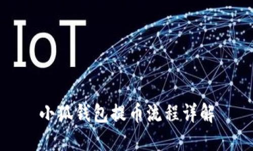 小狐錢(qián)包提幣流程詳解
