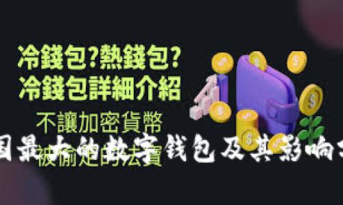美國最大的數字錢(qián)包及其影響分析