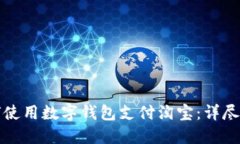 如何使用數字錢(qián)包支付淘