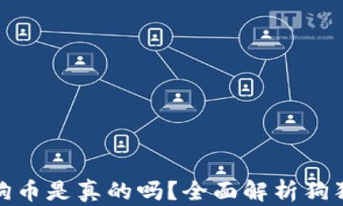 
小狐錢(qián)包存狗狗幣是真的嗎？全面解析狗狗幣存儲安全性