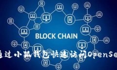 如何通過(guò)小狐錢(qián)包快速訪(fǎng)