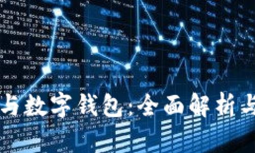 公司賬戶(hù)與數字錢(qián)包：全面解析與應用前景
