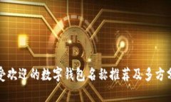 最受歡迎的數字錢(qián)包名稱(chēng)