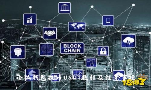 小狐錢(qián)包提幣USDT教程及注意事項