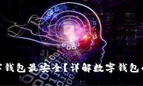 哪種數字錢(qián)包最安全？詳解數字錢(qián)包的安全性