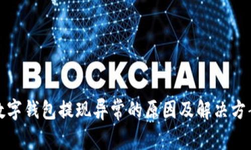 數字錢(qián)包提現異常的原因及解決方案