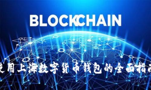 使用上海數字貨幣錢(qián)包的全面指南