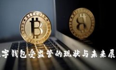 數字錢(qián)包受監管的現狀與