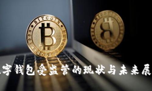數字錢(qián)包受監管的現狀與未來(lái)展望