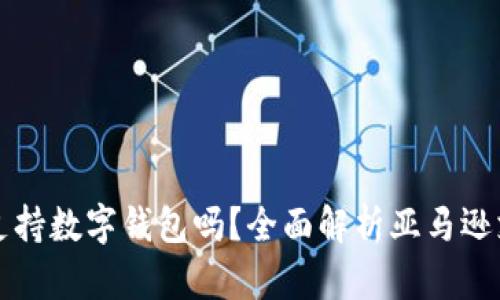 亞馬遜支持數字錢(qián)包嗎？全面解析亞馬遜支付方式