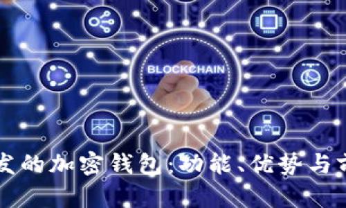 國內開(kāi)發(fā)的加密錢(qián)包：功能、優(yōu)勢與前景分析