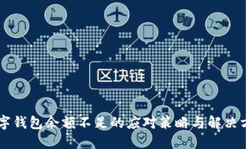 數字錢(qián)包余額不足的應對策略與解決方案