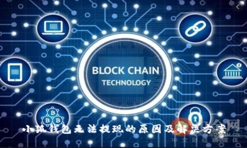 小狐錢(qián)包無(wú)法提現的原因及解決方案
