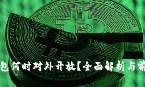 數字錢(qián)包何時(shí)對外開(kāi)放？全面解析與前景展望
