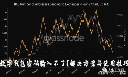 數字錢(qián)包密碼輸入不了？解決方案與使用技巧