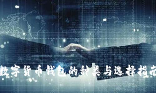 數字貨幣錢(qián)包的種類(lèi)與選擇指南