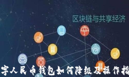 
數字人民幣錢(qián)包如何降級及操作指南