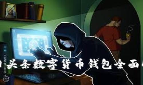 今日頭條數字貨幣錢(qián)包全面解析
