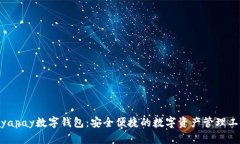 biyapay數字錢(qián)包：安全便捷