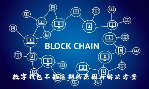 數字錢(qián)包不能延期的原因與解決方案