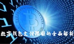 數字錢(qián)包支付限額的全面