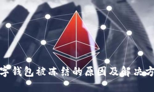 數字錢(qián)包被凍結的原因及解決方案