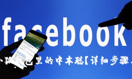 如何找回小狐錢(qián)包里的中本聰？詳細步驟與解決方案