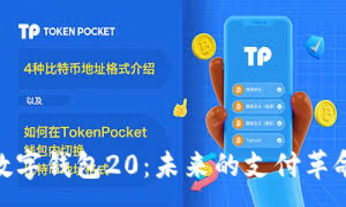:
數字錢(qián)包20：未來(lái)的支付革命